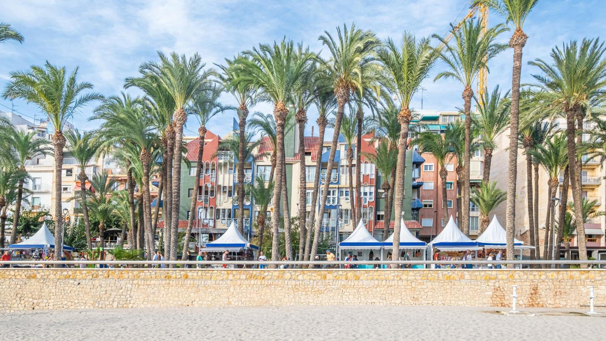 Benipark 3-1-A Poniente Beach Benidorm Dış mekan fotoğraf